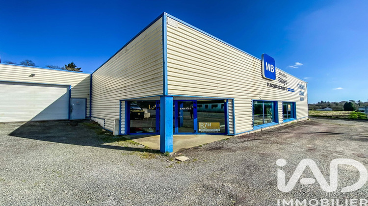Ma-Cabane - Vente Immeuble Languidic, 679 m²
