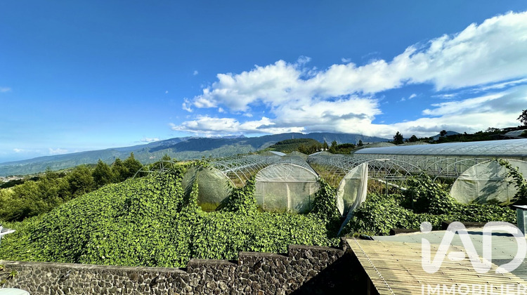 Ma-Cabane - Vente Immeuble Le Tampon, 315 m²