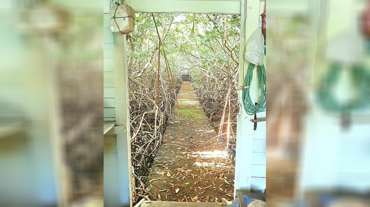 Ma-Cabane - Vente Immeuble LE VAUCLIN, 957 m²