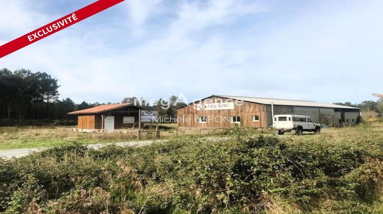 Ma-Cabane - Vente Immeuble LEON, 340 m²