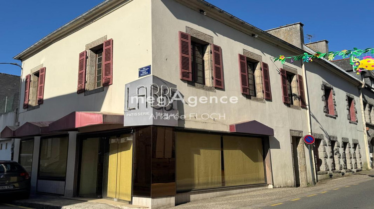 Ma-Cabane - Vente Immeuble LESNEVEN, 260 m²
