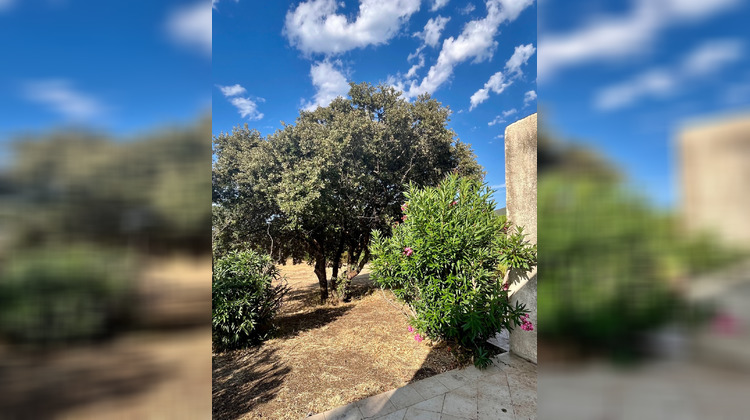 Ma-Cabane - Vente Immeuble Lumio, 220 m²