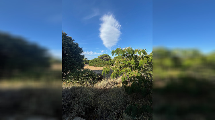 Ma-Cabane - Vente Immeuble Lumio, 220 m²