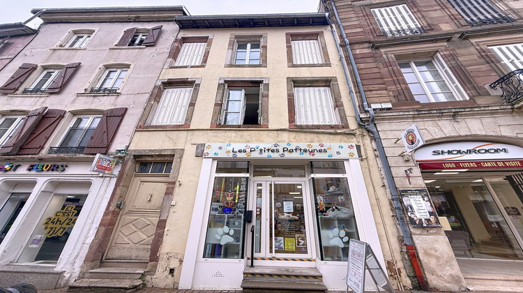 Ma-Cabane - Vente Immeuble Lunéville, 265 m²