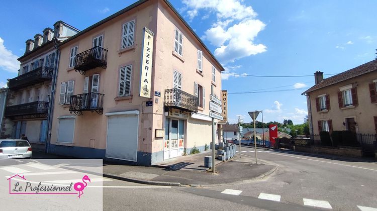 Ma-Cabane - Vente Immeuble LUXEUIL-LES-BAINS, 380 m²