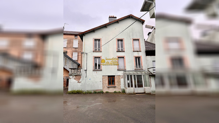 Ma-Cabane - Vente Immeuble Luxeuil-les-Bains, 220 m²