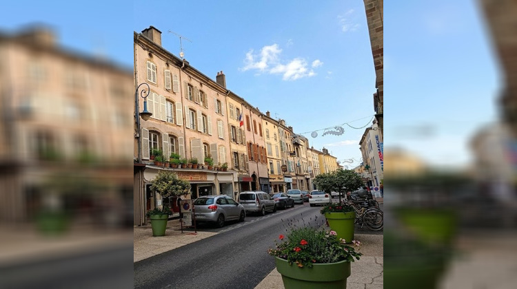 Ma-Cabane - Vente Immeuble Mirecourt, 357 m²