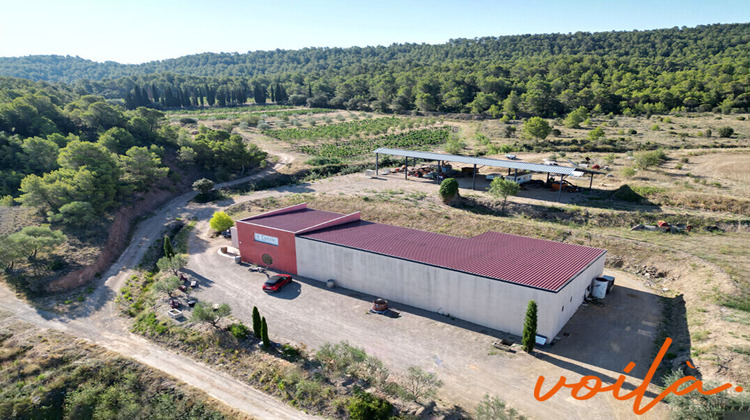 Ma-Cabane - Vente Immeuble NARBONNE, 450 m²