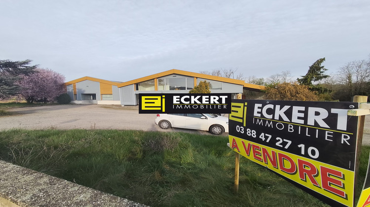 Ma-Cabane - Vente Immeuble Odratzheim, 899 m²
