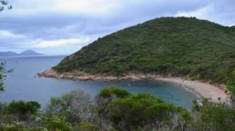 Ma-Cabane - Vente Immeuble OSANI, 920 m²