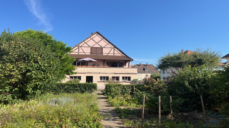 Ma-Cabane - Vente Immeuble Ostheim, 219 m²