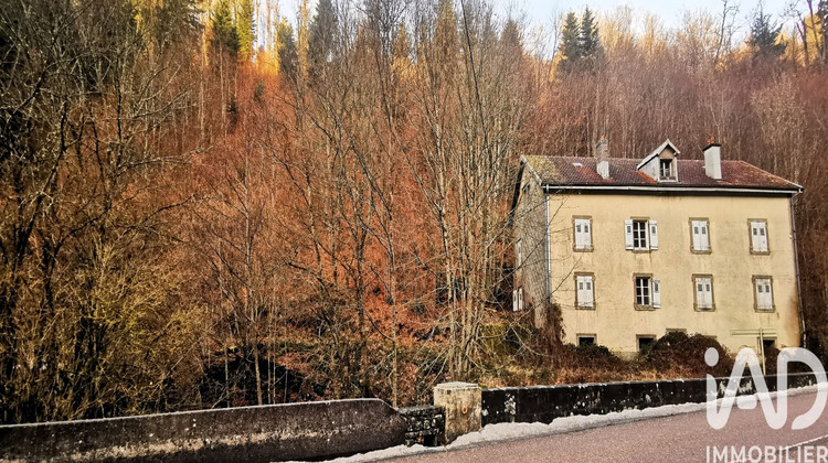 Ma-Cabane - Vente Immeuble Plombières-les-Bains, 360 m²