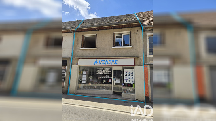Ma-Cabane - Vente Immeuble Pontailler-sur-Saône, 160 m²