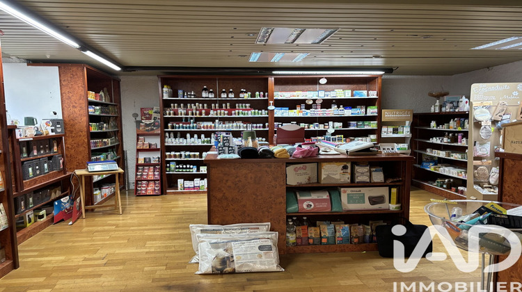 Ma-Cabane - Vente Immeuble Pontivy, 255 m²