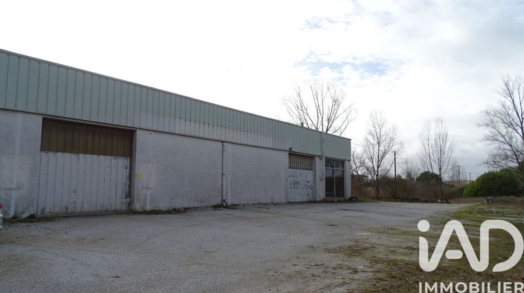 Ma-Cabane - Vente Immeuble Puylaurens, 630 m²