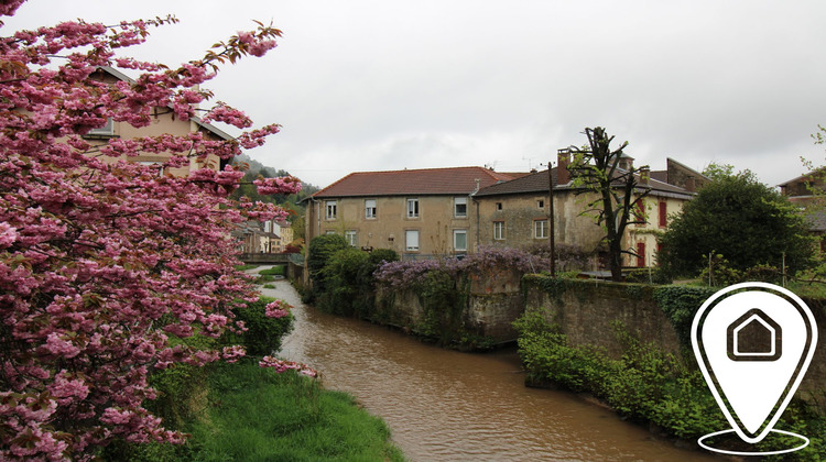 Ma-Cabane - Vente Immeuble Raon-l'Étape, 349 m²