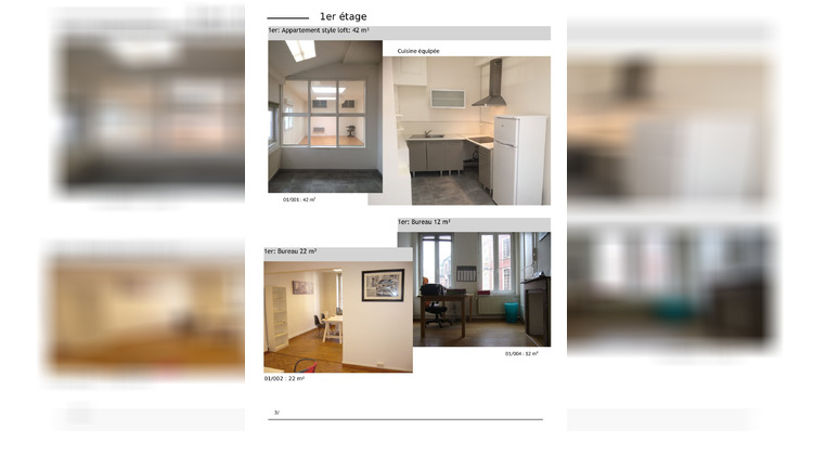 Ma-Cabane - Vente Immeuble Roubaix, 277 m²