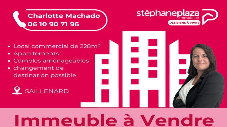 Ma-Cabane - Vente Immeuble SAILLENARD, 320 m²