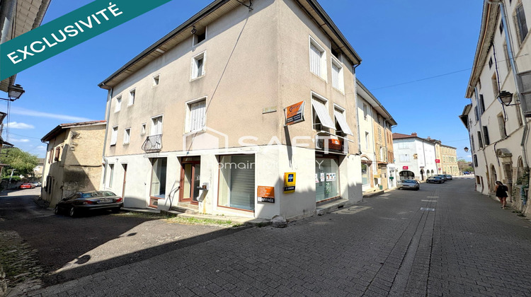 Ma-Cabane - Vente Immeuble Saint-Amour, 220 m²
