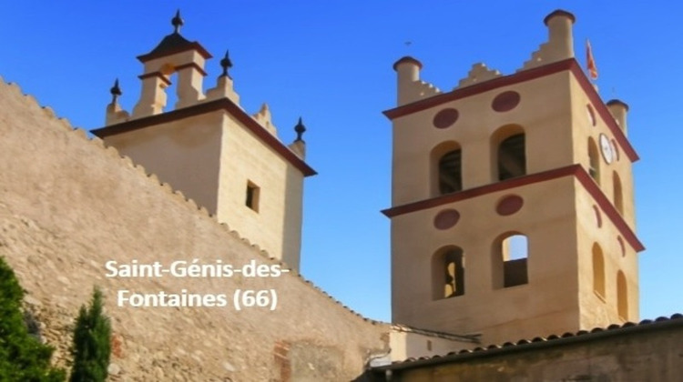 Ma-Cabane - Vente Immeuble SAINT GENIS DES FONTAINES, 550 m²