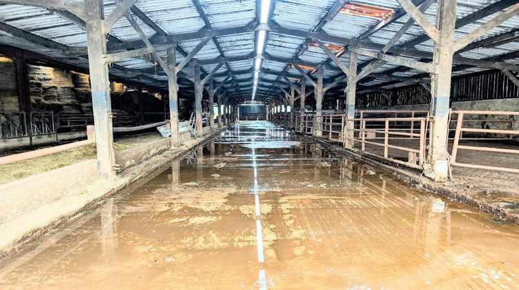 Ma-Cabane - Vente Immeuble SAINT HILAIRE DE RIEZ, 5500 m²