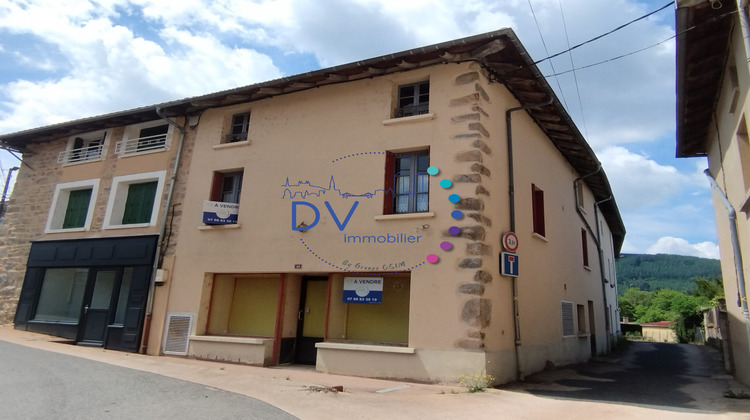 Ma-Cabane - Vente Immeuble Saint-Just-d'Avray, 420 m²