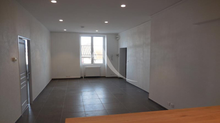 Ma-Cabane - Vente Immeuble SAINT-LAURENT-SUR-SAONE, 356 m²