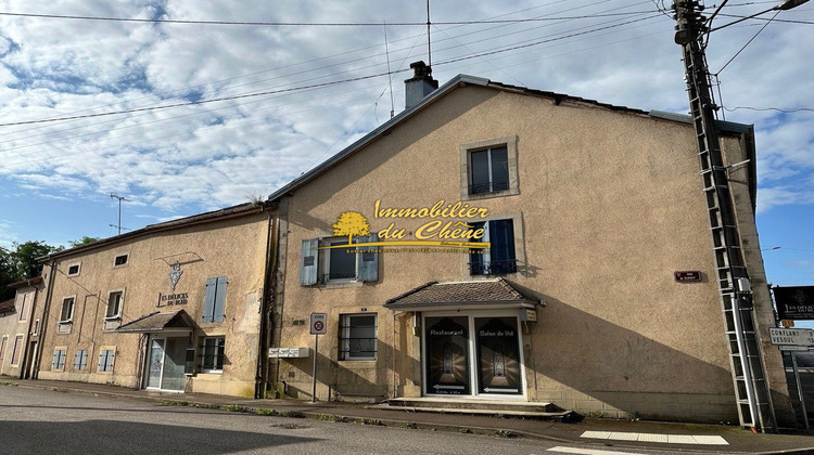 Ma-Cabane - Vente Immeuble Saint-Loup-sur-Semouse, 341 m²