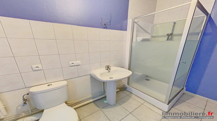 Ma-Cabane - Vente Immeuble Sainte-Marie-aux-Mines, 297 m²