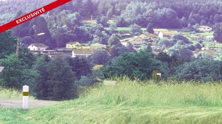 Ma-Cabane - Vente Immeuble SAULXURES, 3000 m²