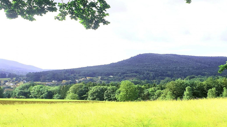 Ma-Cabane - Vente Immeuble SAULXURES, 300 m²