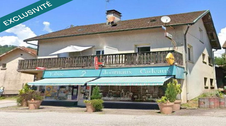 Ma-Cabane - Vente Immeuble Saulxures-sur-Moselotte, 479 m²