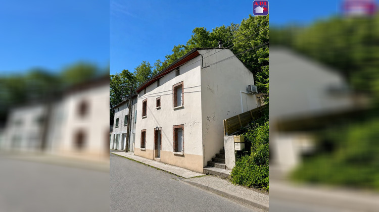 Ma-Cabane - Vente Immeuble SAVERDUN, 0 m²