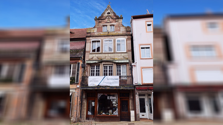 Ma-Cabane - Vente Immeuble Saverne, 500 m²