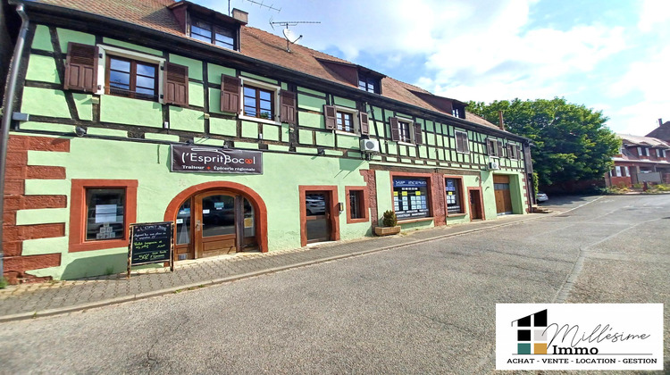 Ma-Cabane - Vente Immeuble Saverne, 800 m²