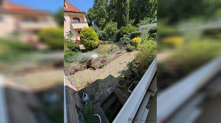 Ma-Cabane - Vente Immeuble Schiltigheim, 350 m²