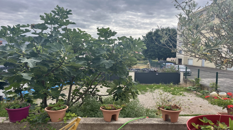 Ma-Cabane - Vente Immeuble Schiltigheim, 240 m²