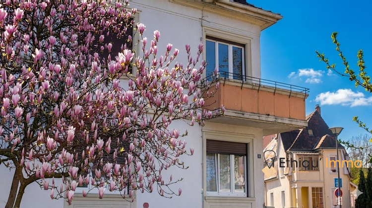 Ma-Cabane - Vente Immeuble Schiltigheim, 195 m²