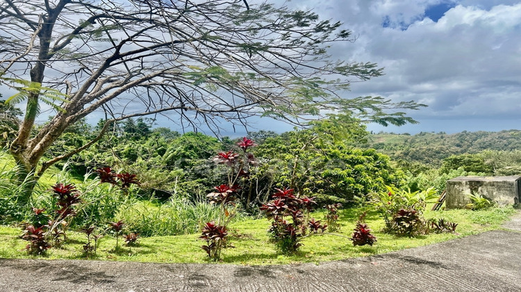 Ma-Cabane - Vente Immeuble SCHOELCHER, 394 m²