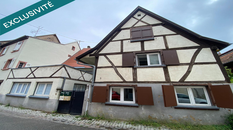 Ma-Cabane - Vente Immeuble Selestat, 274 m²