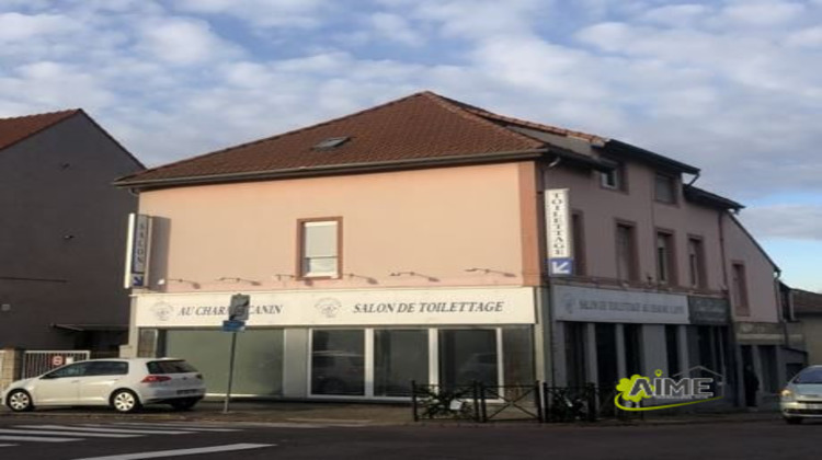 Ma-Cabane - Vente Immeuble Stiring-Wendel, 300 m²