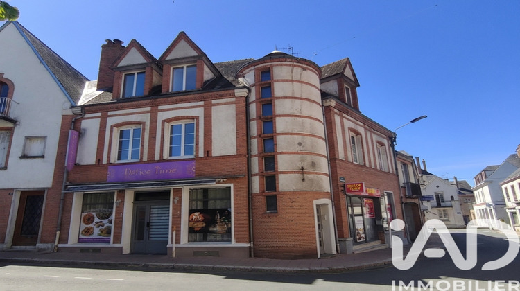 Ma-Cabane - Vente Immeuble Sully-sur-Loire, 300 m²