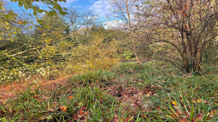 Ma-Cabane - Vente Immeuble Tourcoing, 95 m²