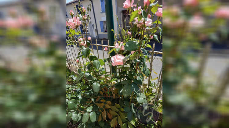 Ma-Cabane - Vente Immeuble Vautebis, 240 m²