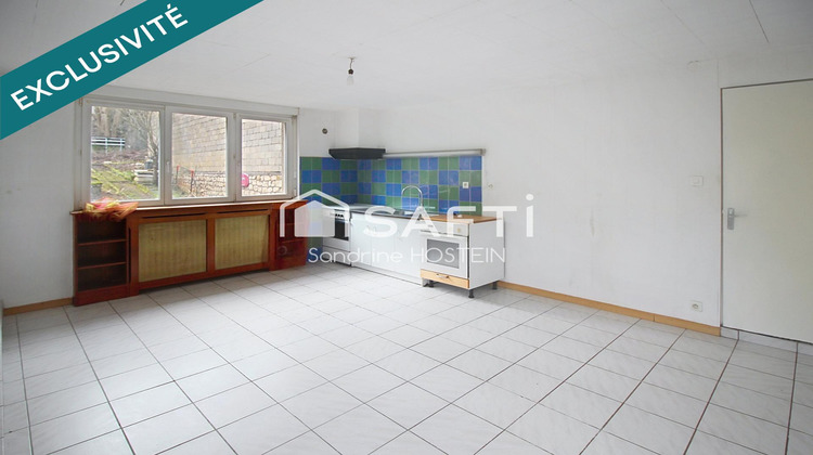Ma-Cabane - Vente Immeuble Villerupt, 300 m²