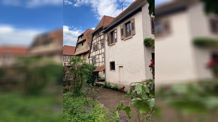 Ma-Cabane - Vente Immeuble Wissembourg, 835 m²