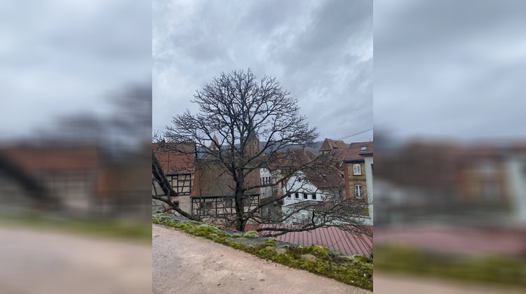 Ma-Cabane - Vente Immeuble Wissembourg, 1200 m²