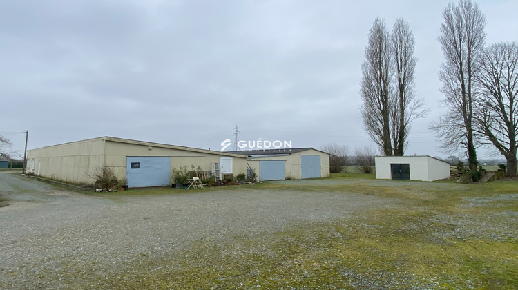 Ma-Cabane - Vente Local commercial Écouflant, 1370 m²