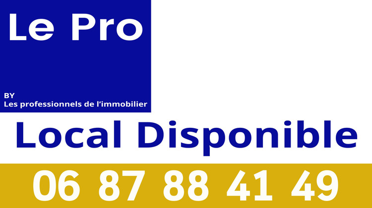 Ma-Cabane - Vente Local commercial Épinal, 2393 m²