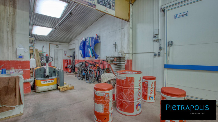 Ma-Cabane - Vente Local commercial Épinouze, 523 m²